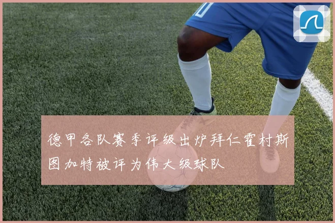 德甲各队赛季评级出炉拜仁霍村斯图加特被评为伟大级球队