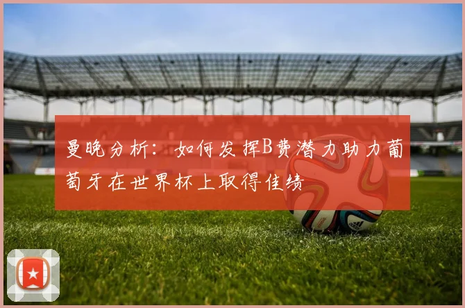 曼晚分析：如何发挥B费潜力助力葡萄牙在世界杯上取得佳绩