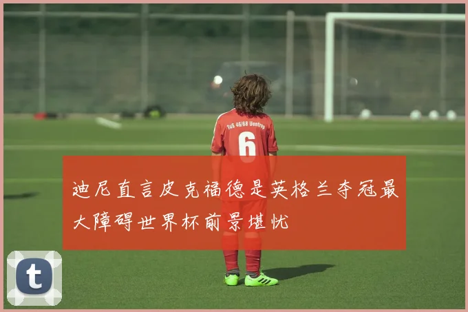 迪尼直言皮克福德是英格兰夺冠最大障碍世界杯前景堪忧